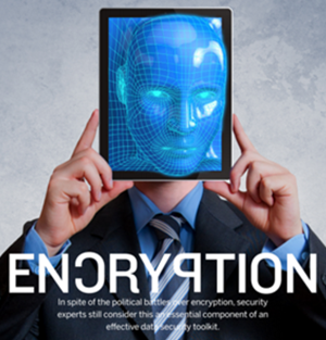 Lock It Down: Eliminate Business Risk with Encryption